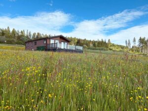 Forest View lodge